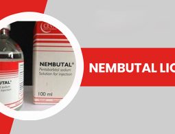 Which-is-the-Best-Place-to-Buy-Cheap-Nembutal-Online