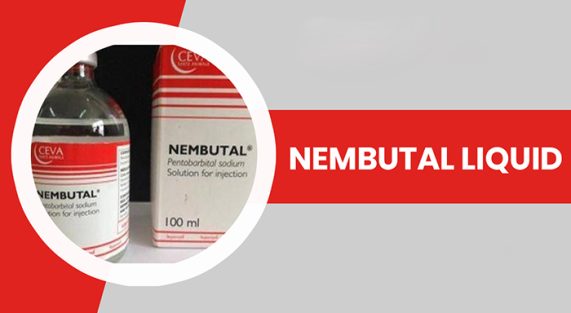 Which-is-the-Best-Place-to-Buy-Cheap-Nembutal-Online